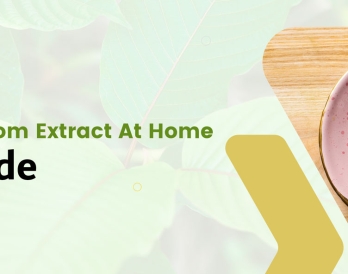 Making Kratom Extract At Home – DIY Guide