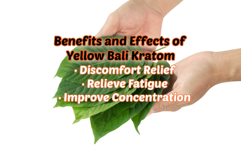 image of yellow bali kratom benefits and effects