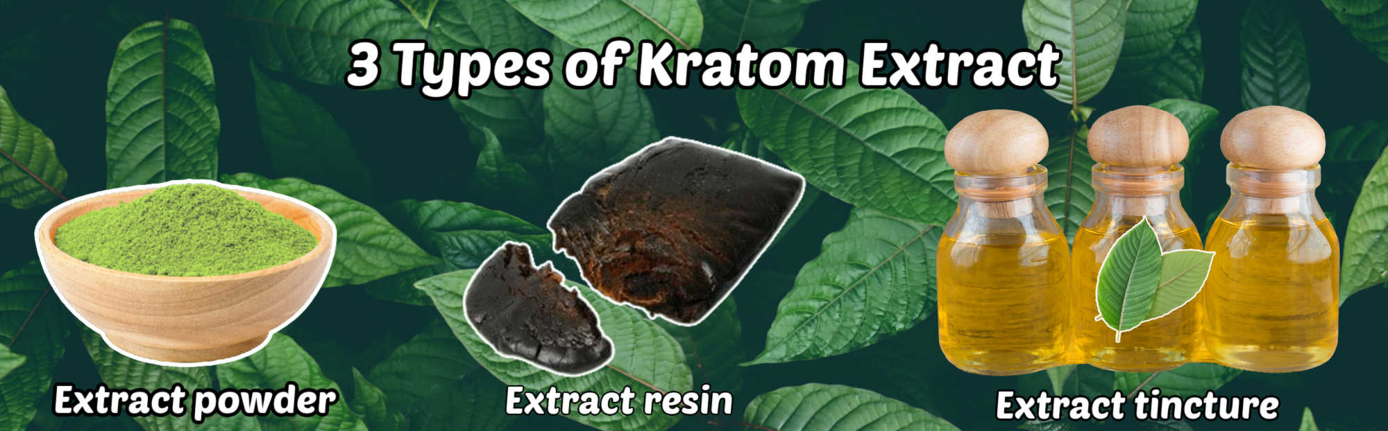 image of 3 types of kratom extract