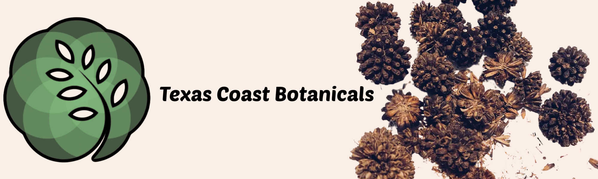 image of texas coast botanicals you can buy kratom seeds