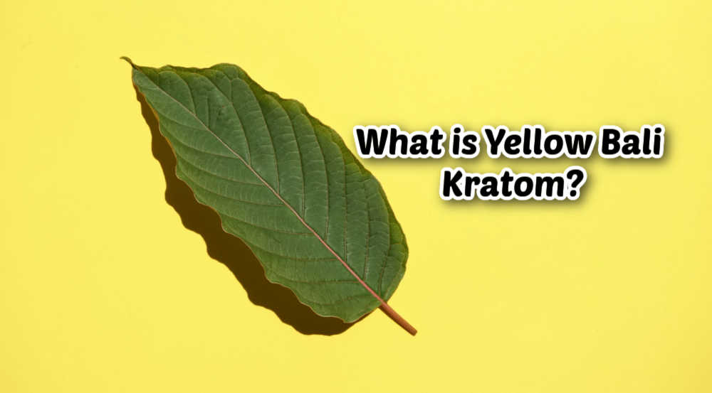 image of what is yellow bali kratom