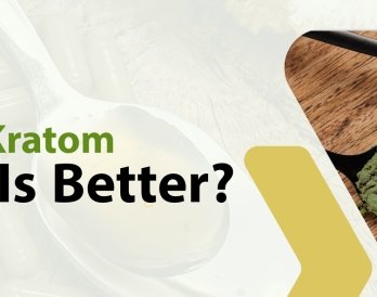 Kava Vs. Kratom: Which Is Better?