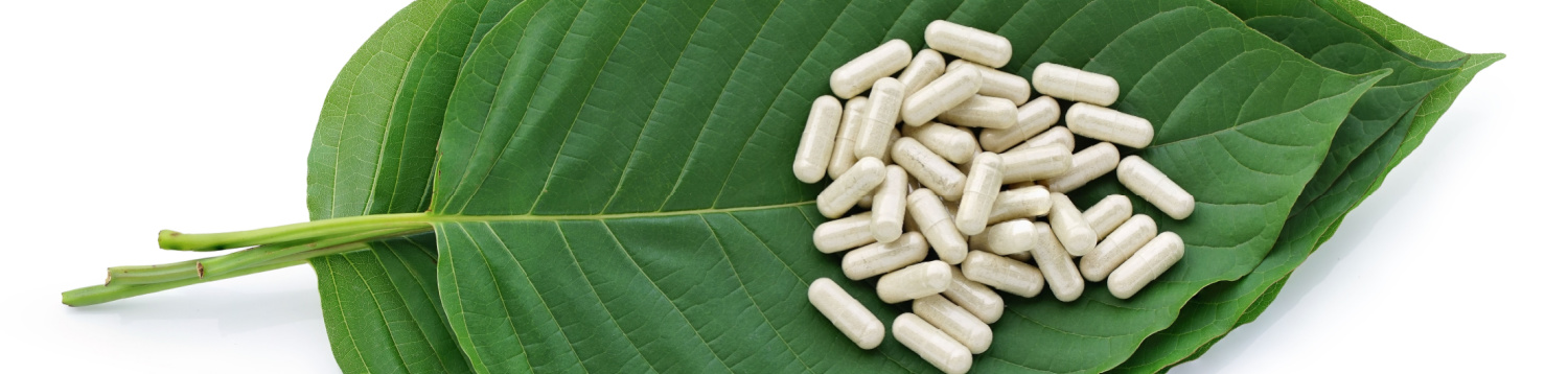 Green Indo vs. Green Elephant Kratom: Benefits, Side-Effects and Dosage