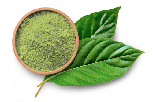 White Riau Kratom – Benefits, Effects, and Dosage