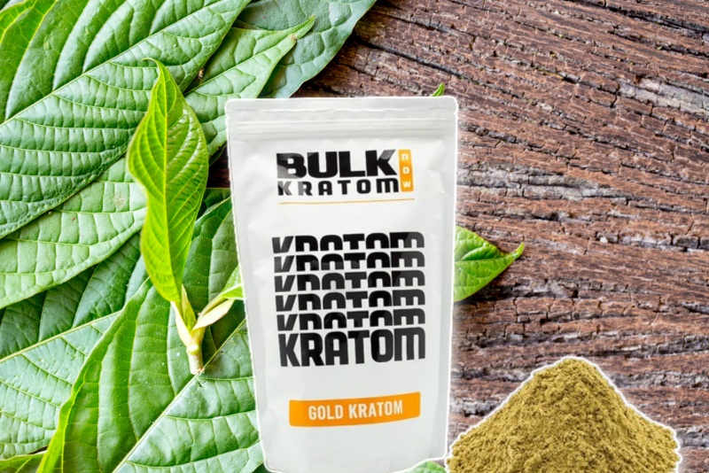Gold Hulu Kapuas Kratom – Strain Effects & Benefits