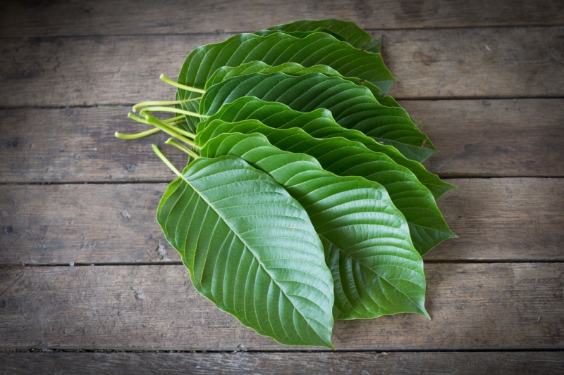 White Kratom Strains: A Guide to Effects, Benefits & Types