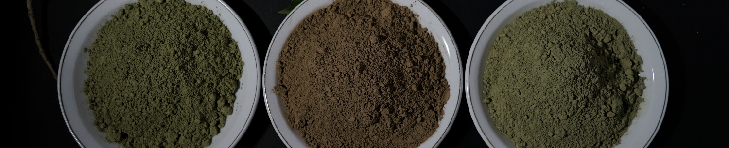 Kratom Extract vs. Powder: Comparing The Effects, Uses & Risks