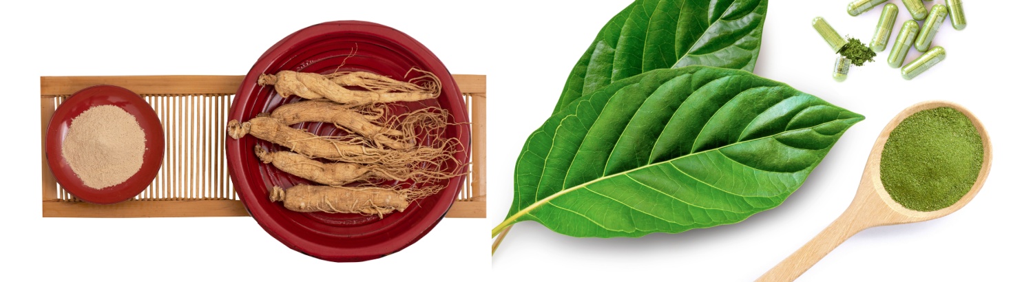 Ginseng and Kratom: Exploring Their Potential Synergy
