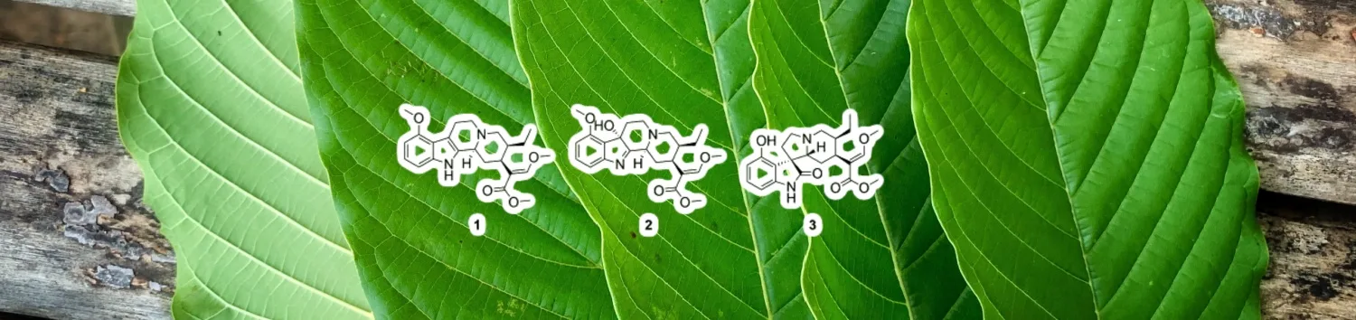 image of what are the composition and properties of kratom