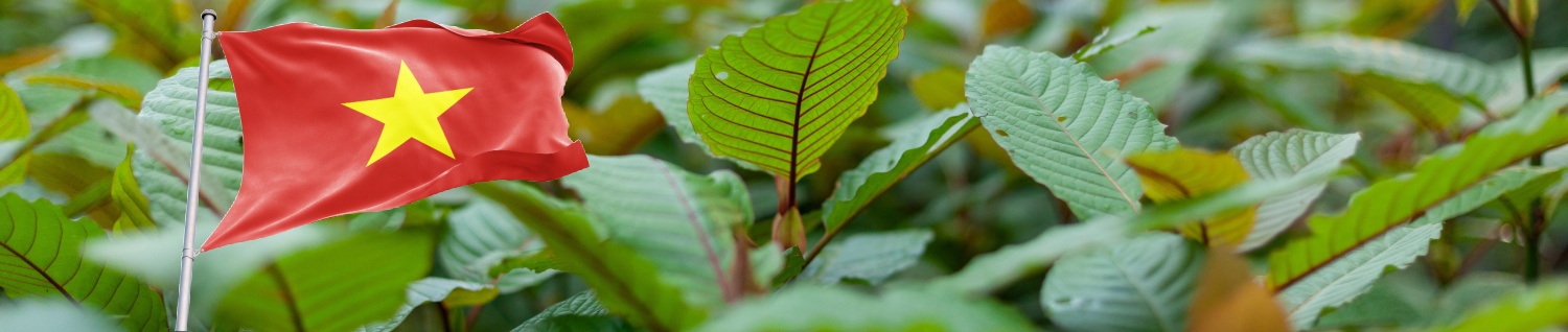 Kratom in Vietnam: What is the Legal Status in the Country?