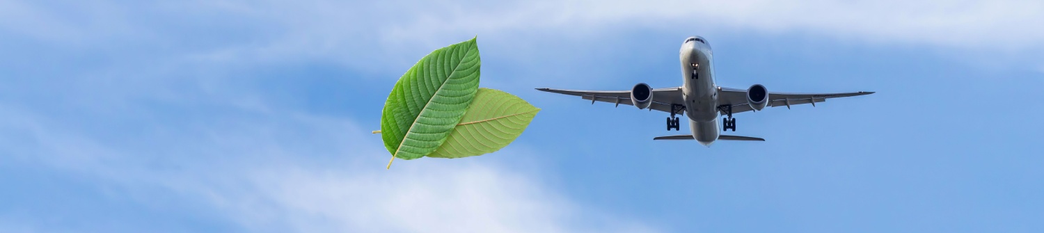 Flying with Kratom: A Complete Guide to Traveling