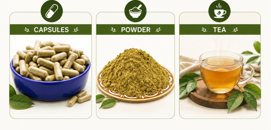 White Borneo kratom usage guide
